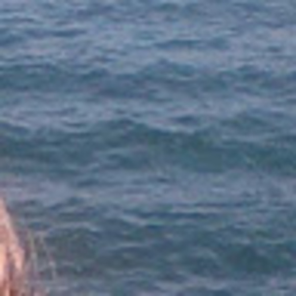 Meet your Posher, Julie - Picture 1 of 1